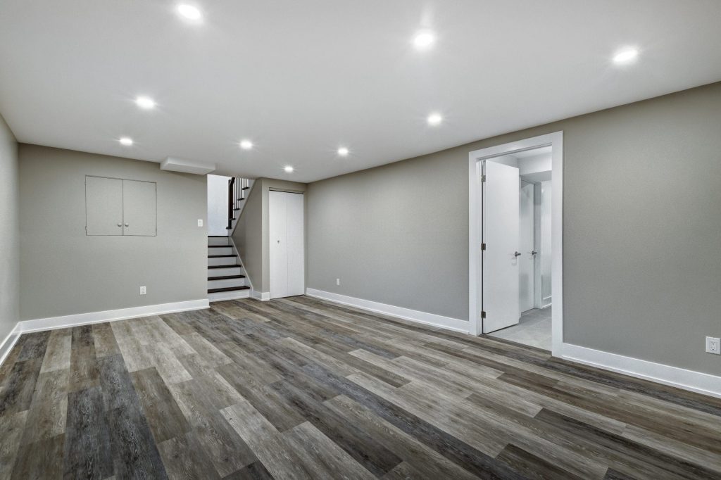 Basement Remodel